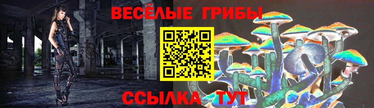 Галлюциногенные грибы Magic Shrooms  Вход с VPN  Псилоцибиновые грибы мицелий  Архангельск 